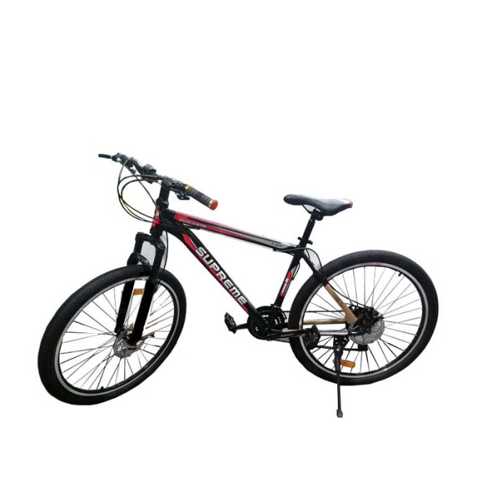 Electric Bicycle Duranta Bike Price Duranta Steel Multi Speed
