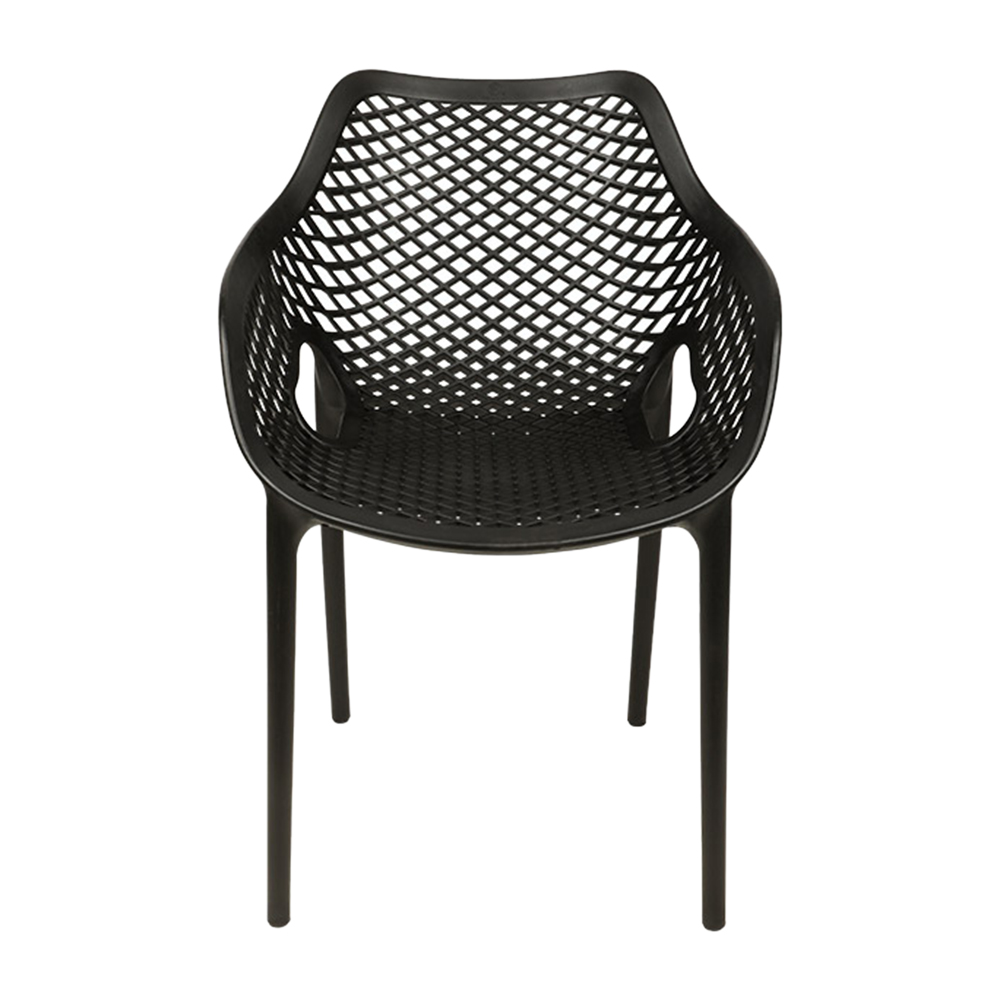 Stylee Champion Arm Chair Black