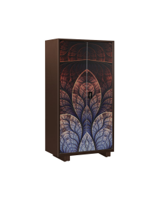 REGAL METAL CHOCO BLAZING STAR POPULAR HOUSEHOLD ALMIRAH - MULTICOLOR