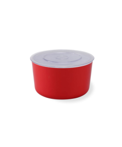 RFL POLYPROPYLENE MINA MEDIUM CONTAINER - WHITE & RED
