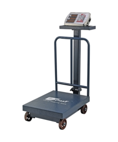 XPART WEIGHING SCALE 200 KG - GRAY
